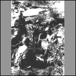 В минуты отдыха в 14-ой стрелковой дивизии. Карельский фронт. 1941 г. Автор съемки не установлен. 